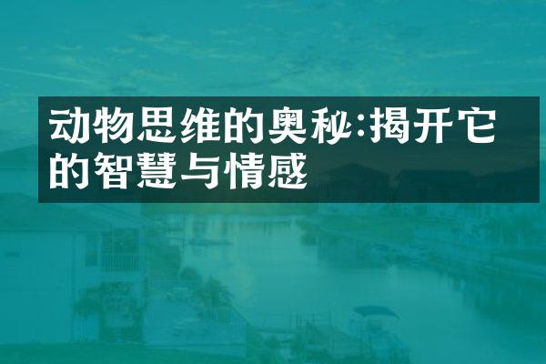 动物思维的奥秘:揭开它们的智慧与情感