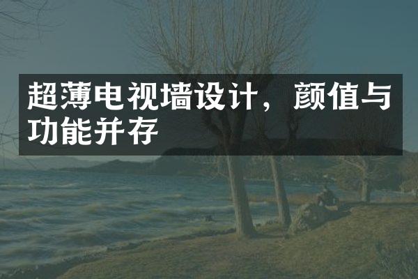 超薄电视墙设计，颜值与功能并存