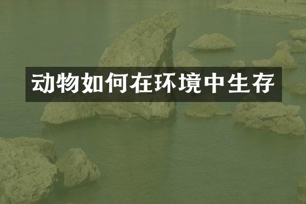 动物如何在环境中生存