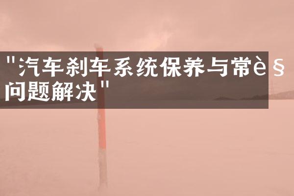 "汽车刹车系统保养与常见问题解决"