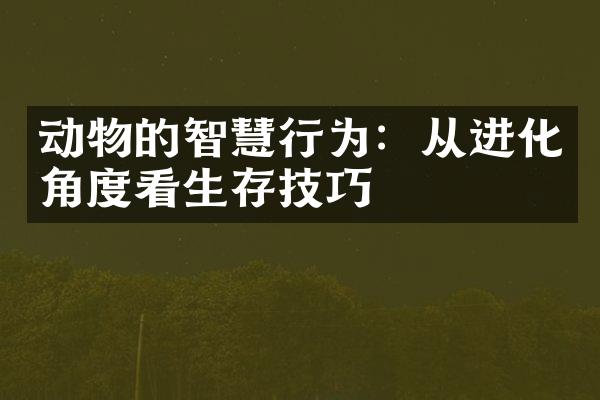 动物的智慧行为：从进化角度看生存技巧