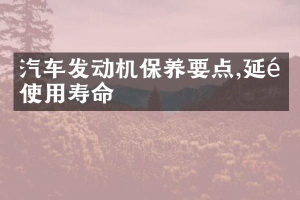 汽车发动机保养要点,延长使用寿命