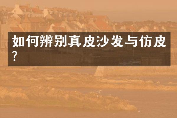 如何辨别真皮沙发与仿皮？