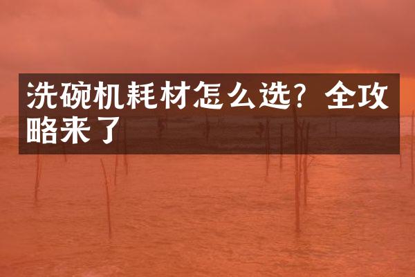 洗碗机耗材怎么选？全攻略来了