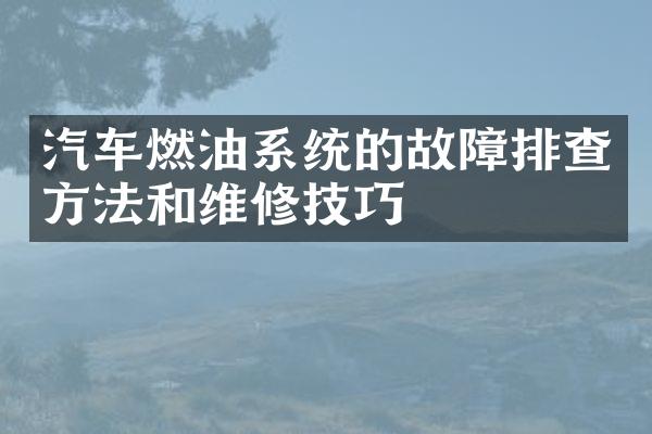 汽车燃油系统的故障排查方法和维修技巧