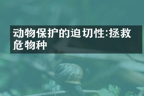 动物保护的迫切性:拯救濒危物种