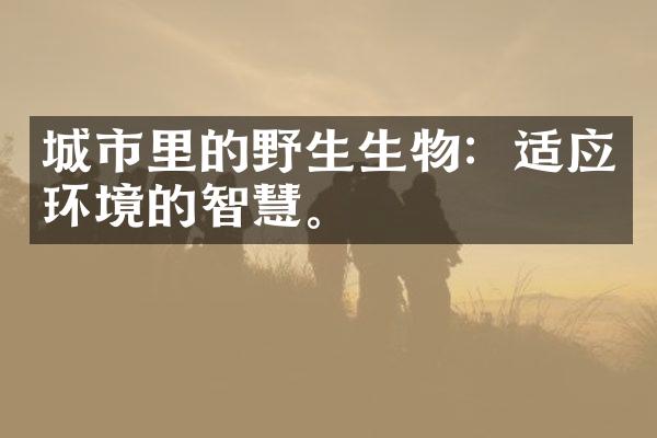 城市里的野生生物：适应环境的智慧。