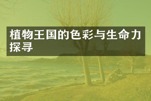 植物王国的色彩与生命力探寻