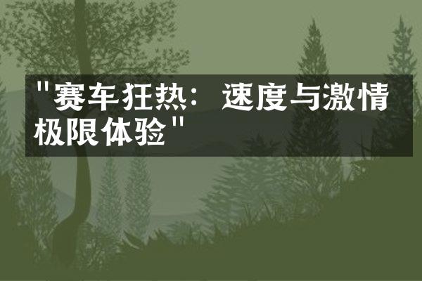 "赛车狂热：速度与激情的极限体验"