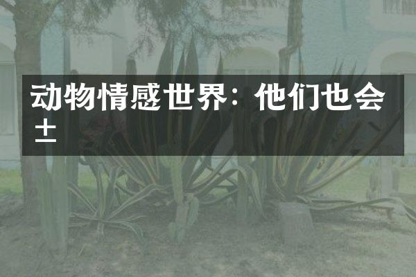 动物情感世界: 他们也会爱