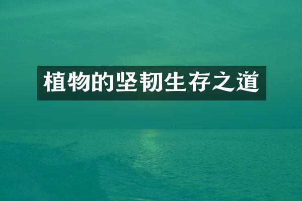 植物的坚韧生存之道