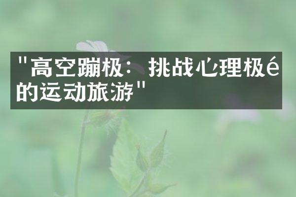 "高空蹦极：挑战心理极限的运动旅游"
