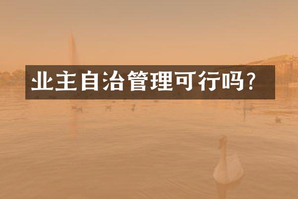 业主自治管理可行吗？