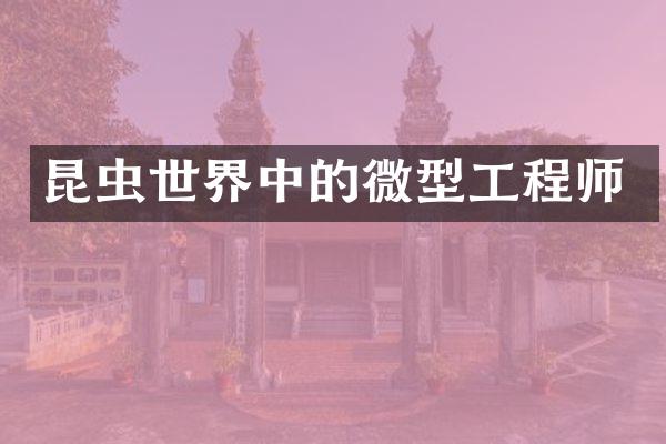昆虫世界中的微型工程师