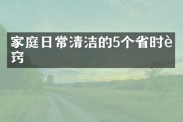 家庭日常清洁的5个省时诀窍