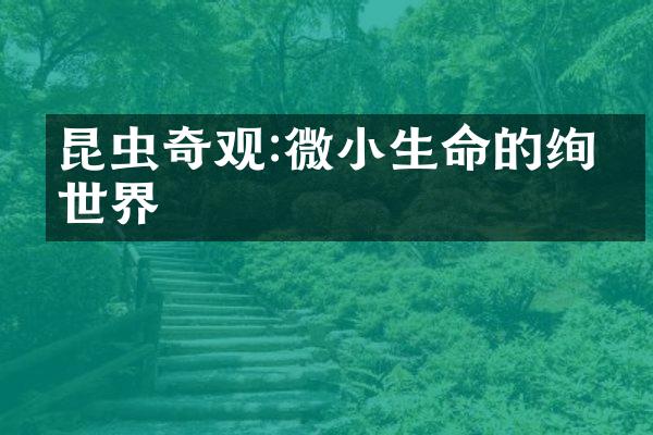 昆虫奇观:微小生命的绚丽世界