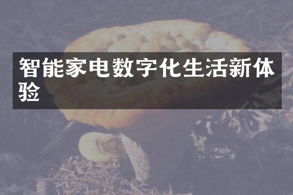 智能家电数字化生活新体验