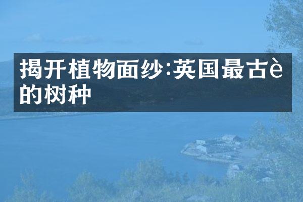 揭开植物面纱:英国最古老的树种