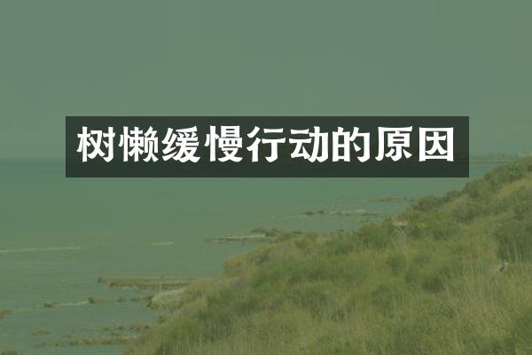 树懒缓慢行动的原因