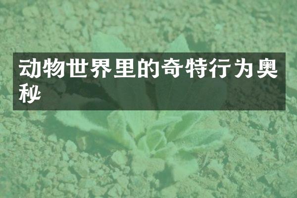 动物世界里的奇特行为奥秘