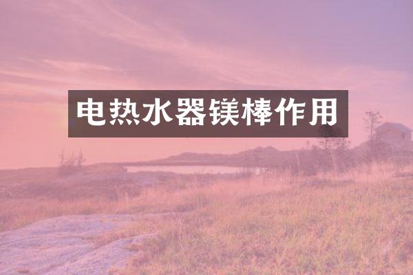 电热水器镁棒作用