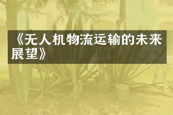 《无人机物流运输的未来展望》