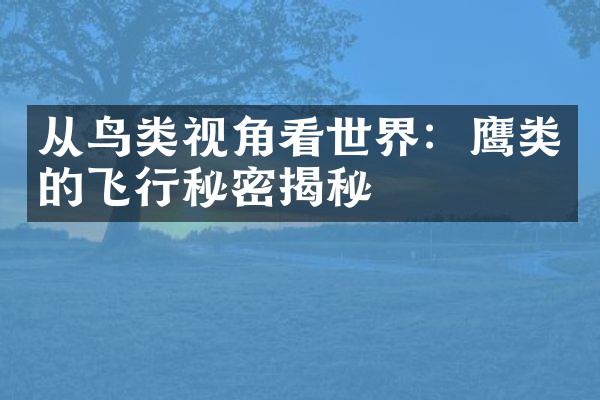 从鸟类视角看世界：鹰类的飞行秘密揭秘