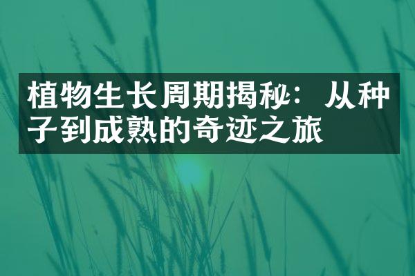 植物生长周期揭秘：从种子到成熟的奇迹之旅