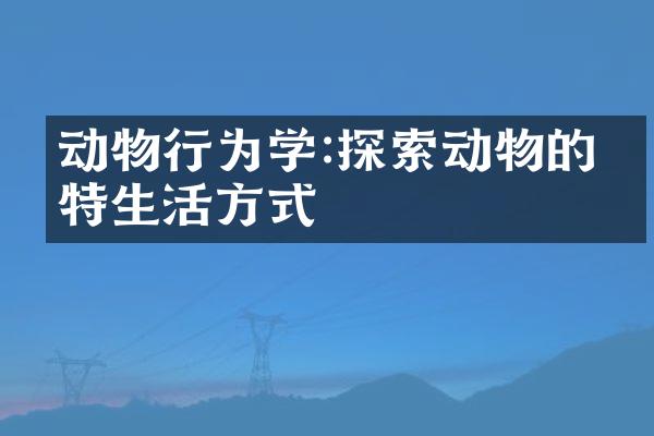 动物行为学:探索动物的独特生活方式