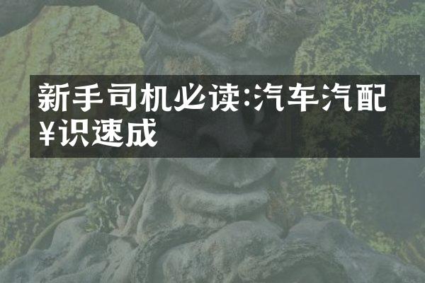 新手司机必读:汽车汽配知识速成