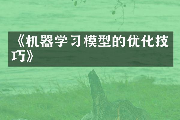 《机器学习模型的优化技巧》