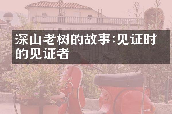 深山老树的故事:见证时光的见证者