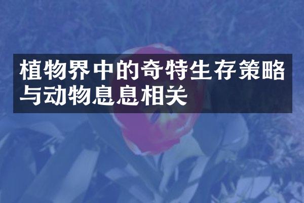 植物界中的奇特生存策略与动物息息相关