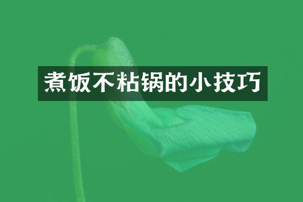 煮饭不粘锅的小技巧