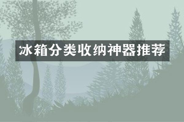 冰箱分类收纳神器推荐