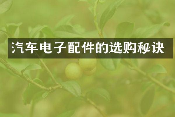 汽车电子配件的选购秘诀