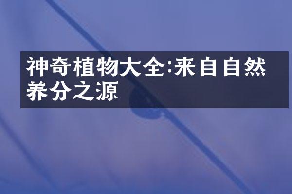 神奇植物大全:来自自然的养分之源