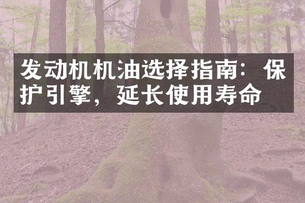 发动机机油选择指南：保护引擎，延长使用寿命