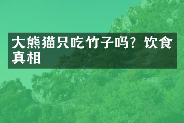 大熊猫只吃竹子吗？饮食真相