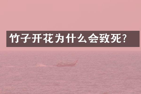 竹子开花为什么会致死？