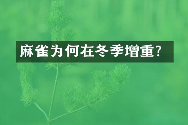 麻雀为何在冬季增重？