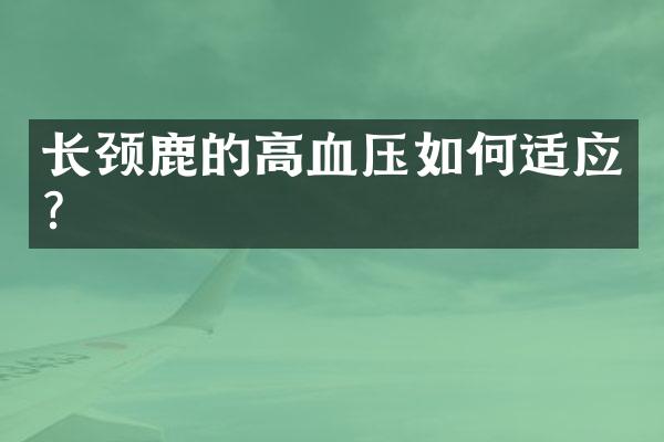 长颈鹿的高血压如何适应？