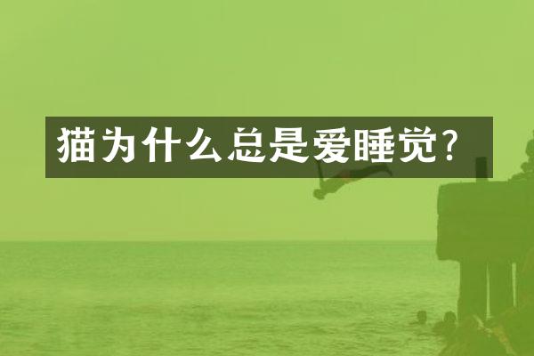 猫为什么总是爱睡觉？