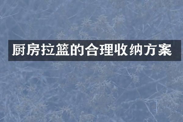 厨房拉篮的合理收纳方案
