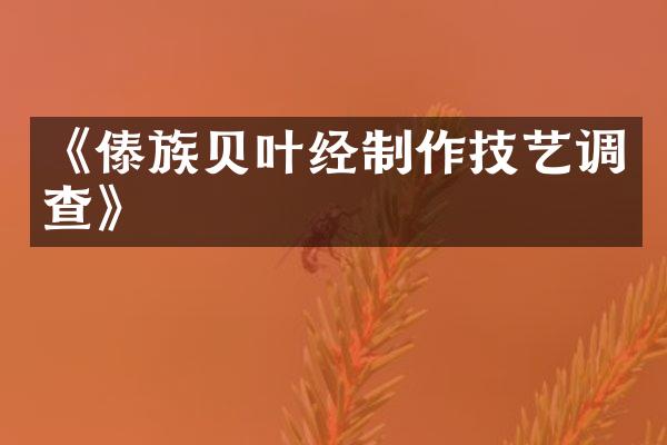 《傣族贝叶经制作技艺调查》