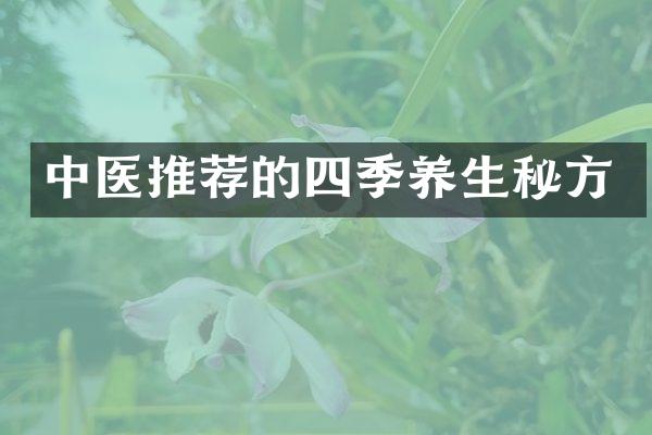 中医推荐的四季养生秘方