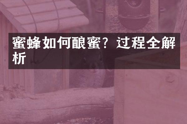 蜜蜂如何酿蜜？过程全解析