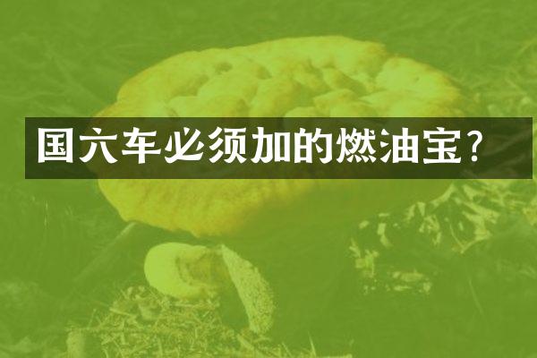 国六车必须加的燃油宝？