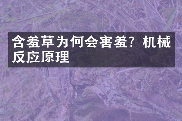 含羞草为何会害羞？机械反应原理