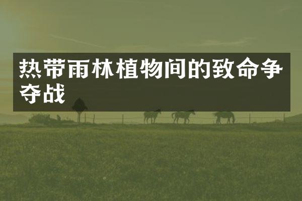 热带雨林植物间的致命争夺战